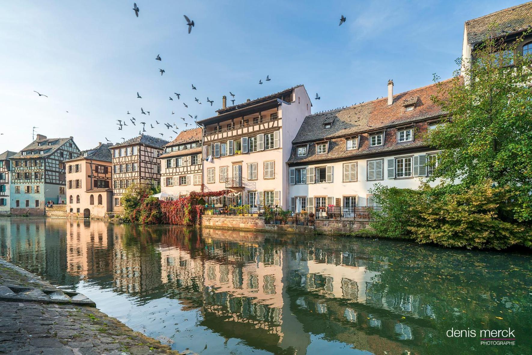 La Clef Des Songes Bed & Breakfast Mertzwiller Luaran gambar