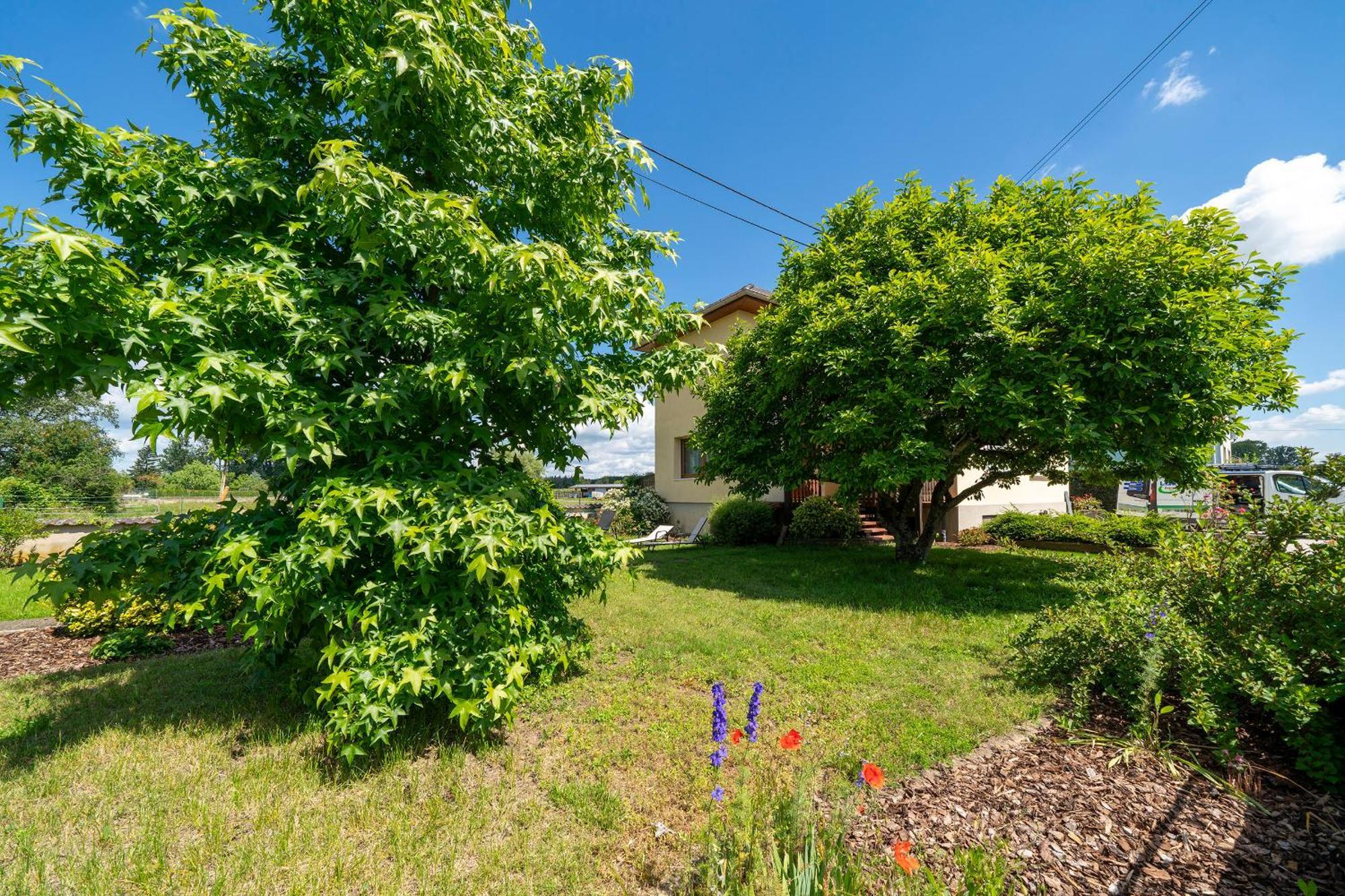 La Clef Des Songes Bed & Breakfast Mertzwiller Luaran gambar
