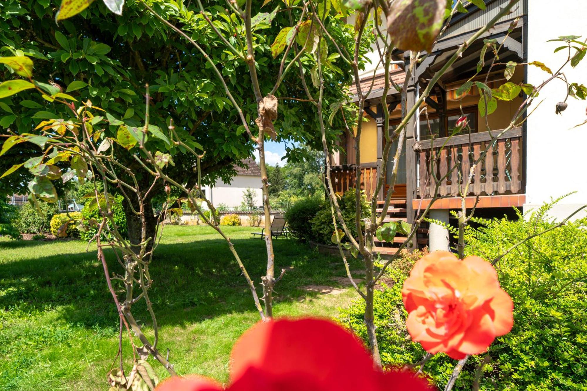La Clef Des Songes Bed & Breakfast Mertzwiller Luaran gambar