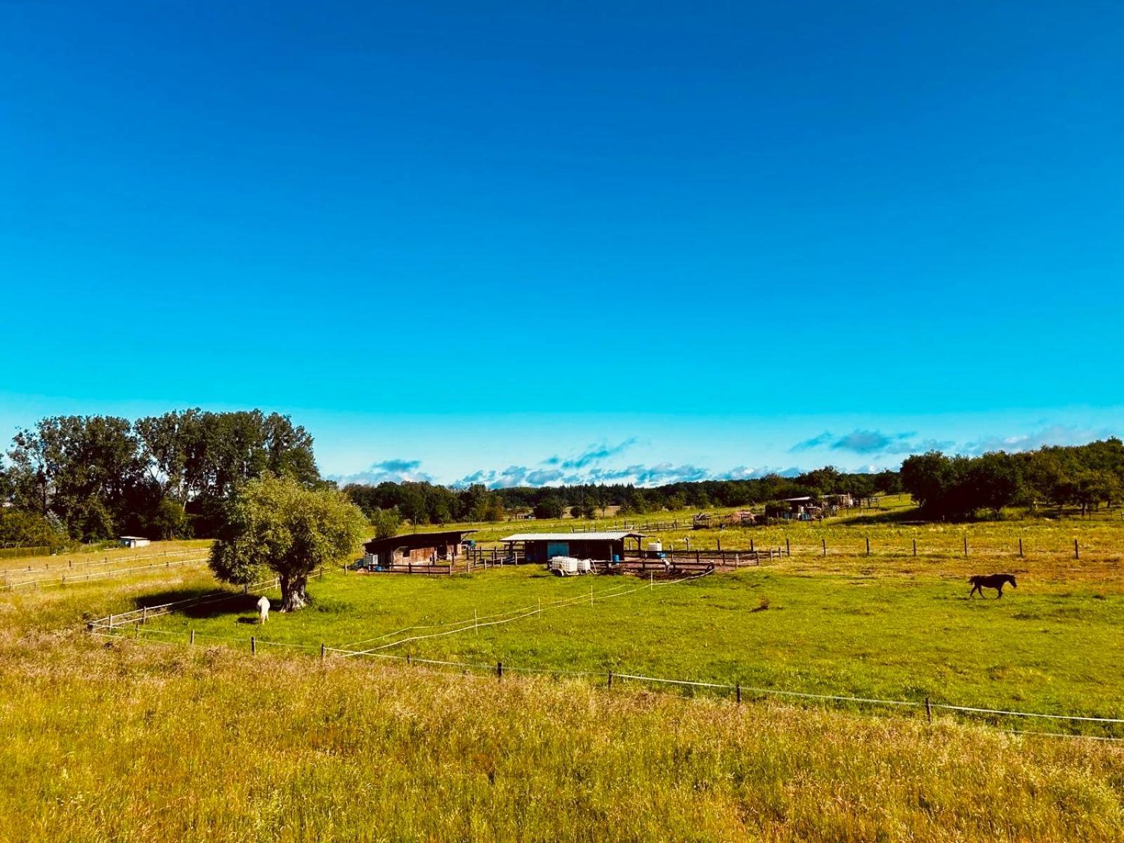 La Clef Des Songes Bed & Breakfast Mertzwiller Luaran gambar