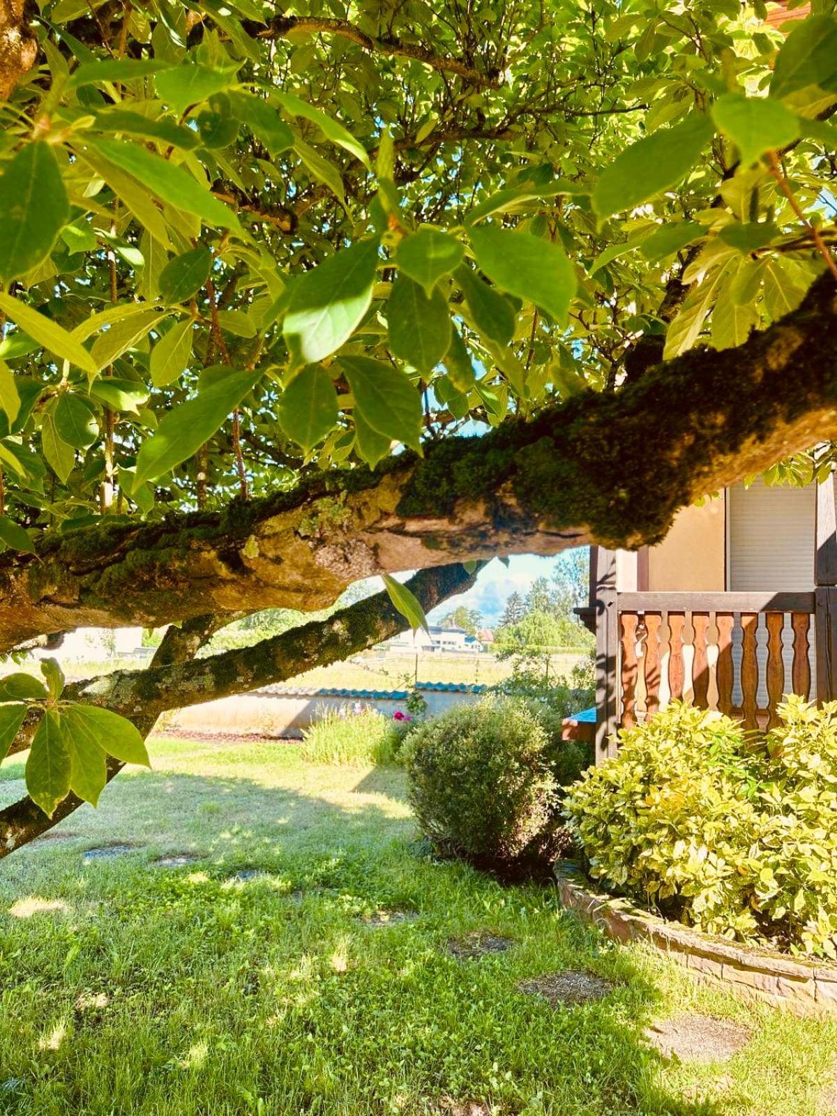 La Clef Des Songes Bed & Breakfast Mertzwiller Luaran gambar